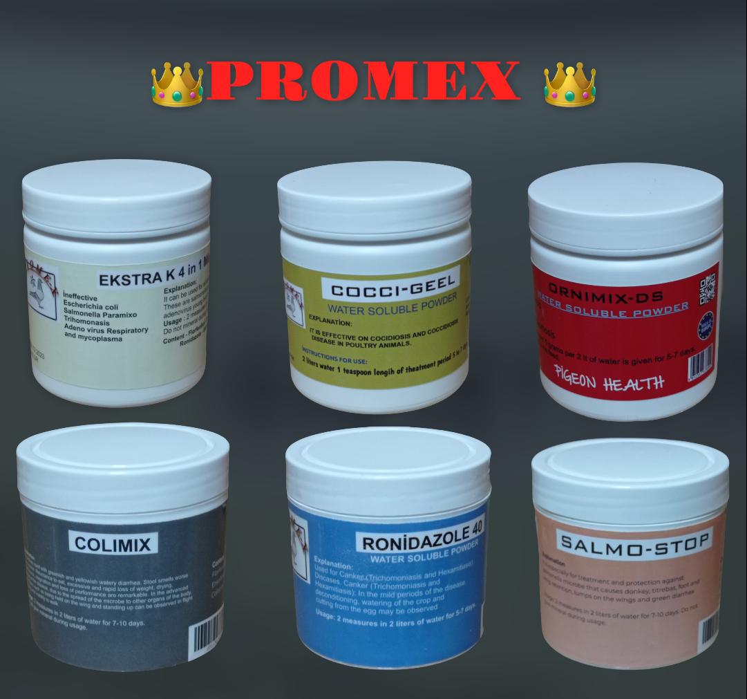 PROME-X%20SET(KÜR)