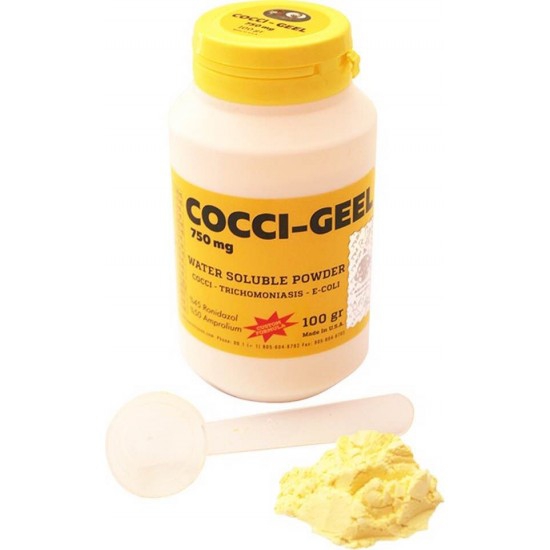 Cocci ceel (ishal kursak mantarı)