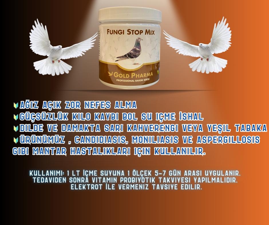 Fungi%20plus%20100%20gram%20(%20mantar)