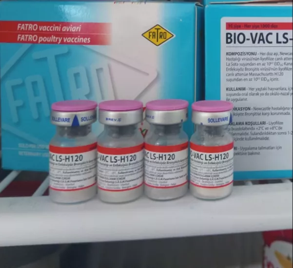 İkili karma aşı (veba bronşit aşısı)