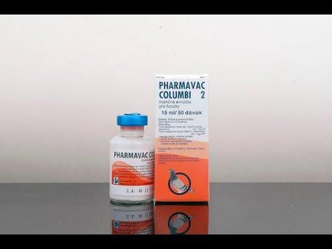 Pharmavac Columbi 2 güvercin aşısı